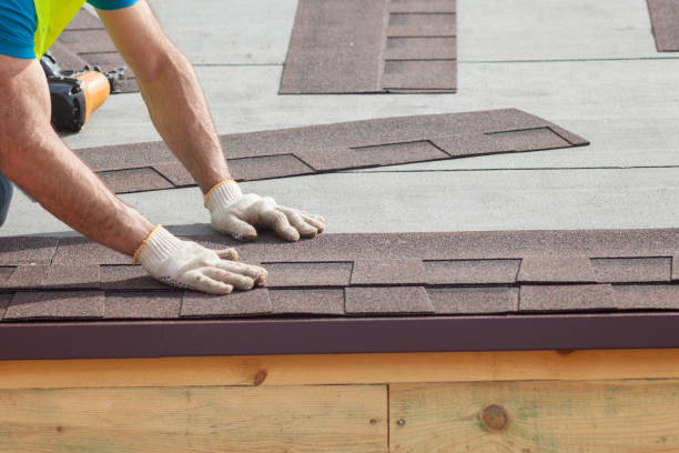 Best Roof Leak Repair  in Colona, IL